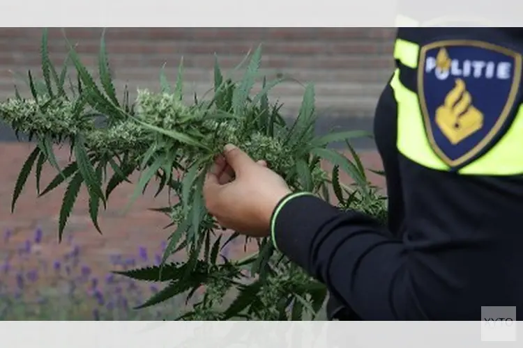 Politie ontmantelt illegale growshop na anonieme tips