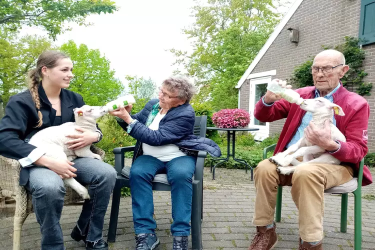 Zorgboerderij ’t Hamel laat zich zien