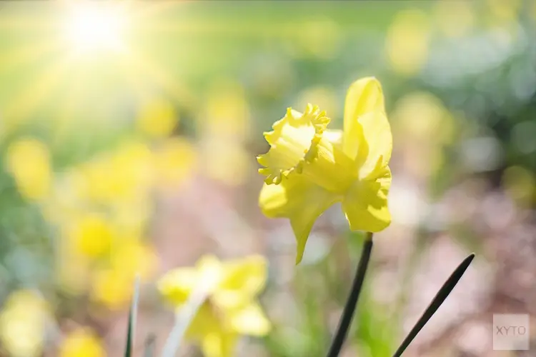 Lente steeds meer in zicht. Koude nachten, maar overdag steeds meer zon