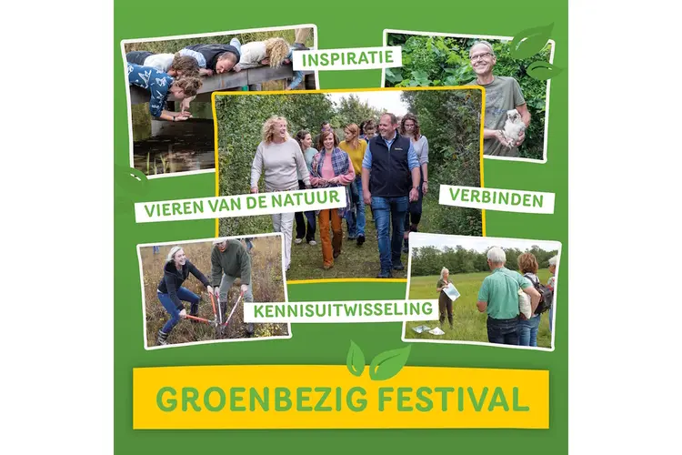 Groenbezig Festival 2024